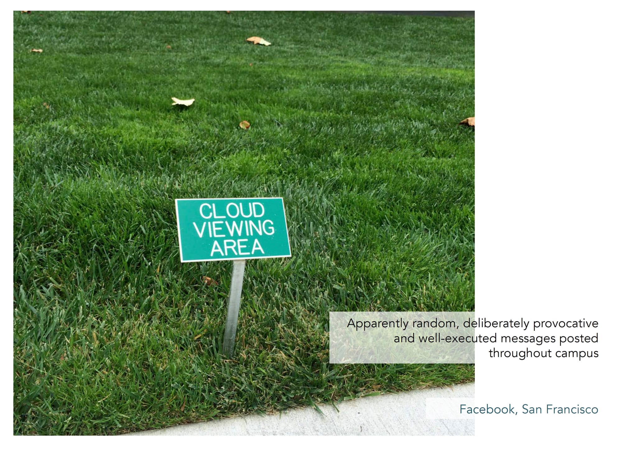 A small green sign in the grass reading “Cloud Viewing Area,” part of a series of playful environmental messages at Facebook’s San Francisco campus.